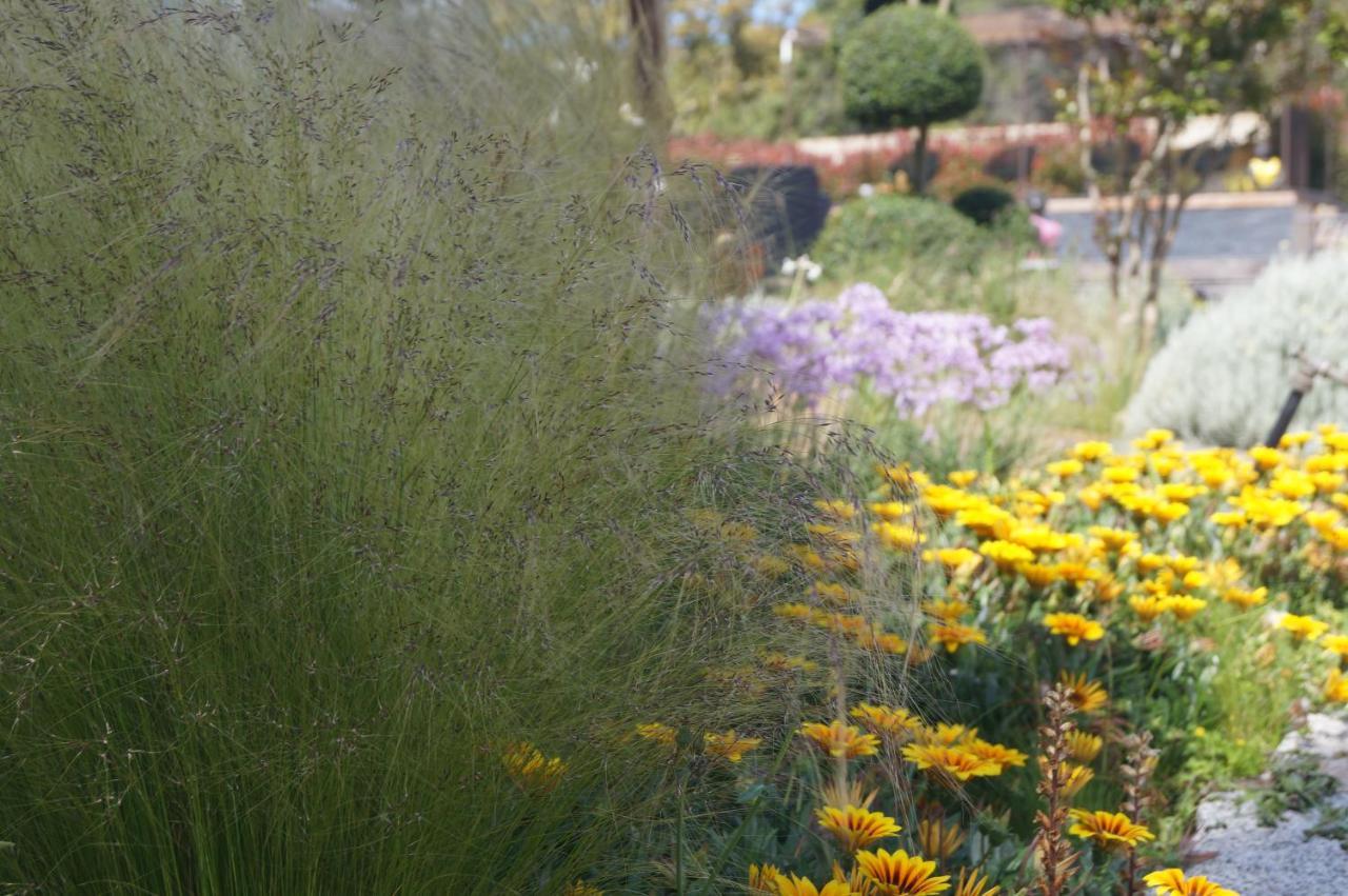 Les Jardins De Santa Giulia - Charmante Chambre D'Hote بورتو فيكشْيو المظهر الخارجي الصورة